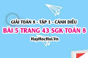 Giải bài 5 trang 43 Toán 8 Tập 1 SGK Cánh Diều